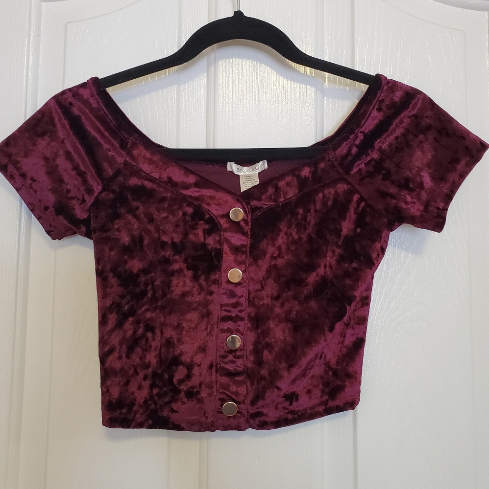 Cropped Maroon Velvet top